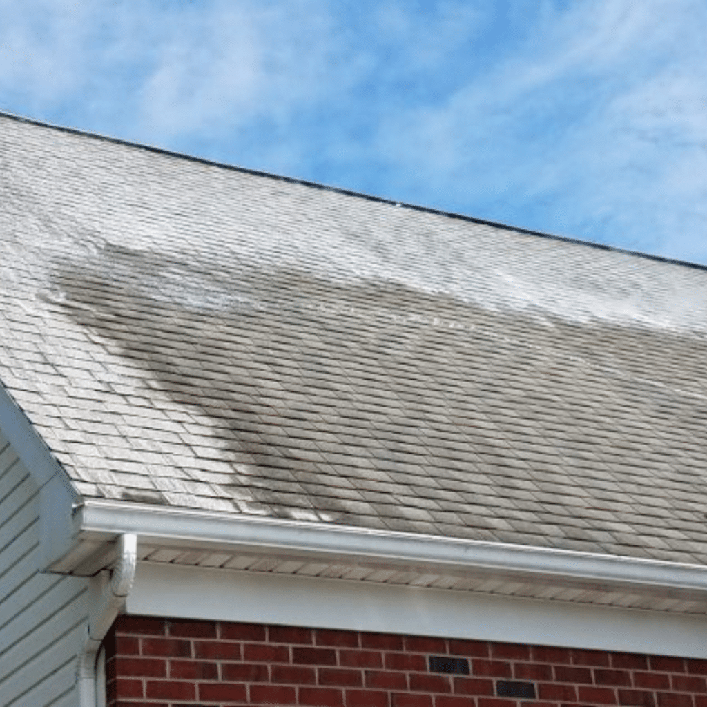 Roof Cleaning